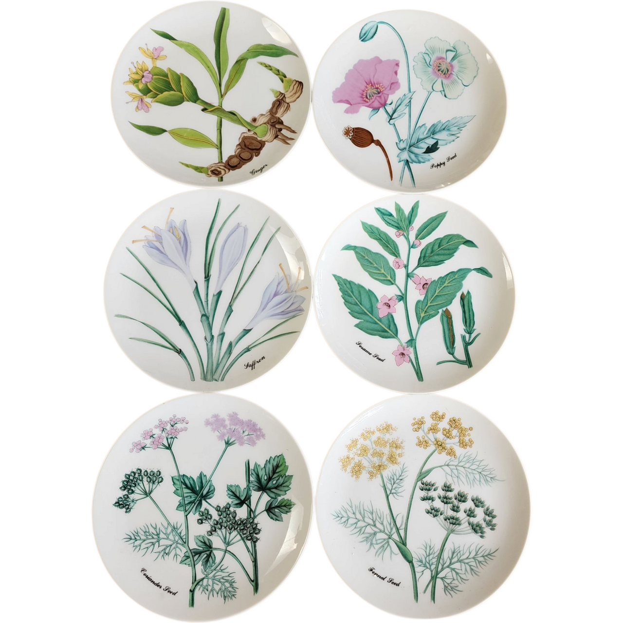 Set of 6 Horchow Collection Botanical Plates Made in Japan